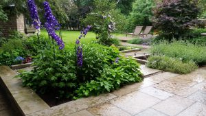 Parterre garden with delphiniums