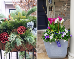 Seasonal porch planters- one for winter with greenery and red accents, and a spring planter with tulips, hyacinths, etc.