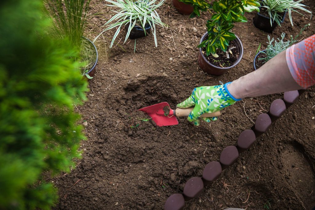 Person digging a hole in soil with a red hand trowel, preparing to plant potted greenery in a garden bed lined with edging stones.