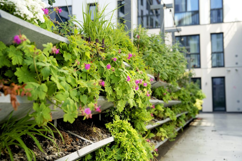 Close-up of a modern vertical garden filled with green foliage and small pink flowers, installed along a building courtyard.