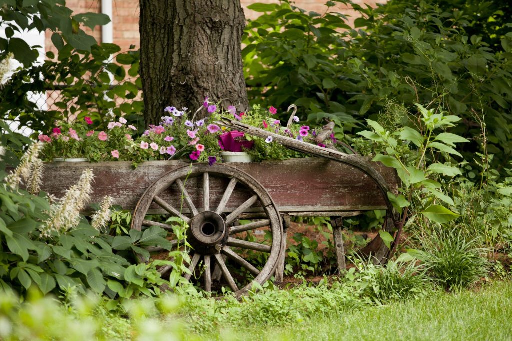 Rustic wooden wagon filled with colorful blooming flowers, set against a backdrop of lush green foliage and a large tree.
