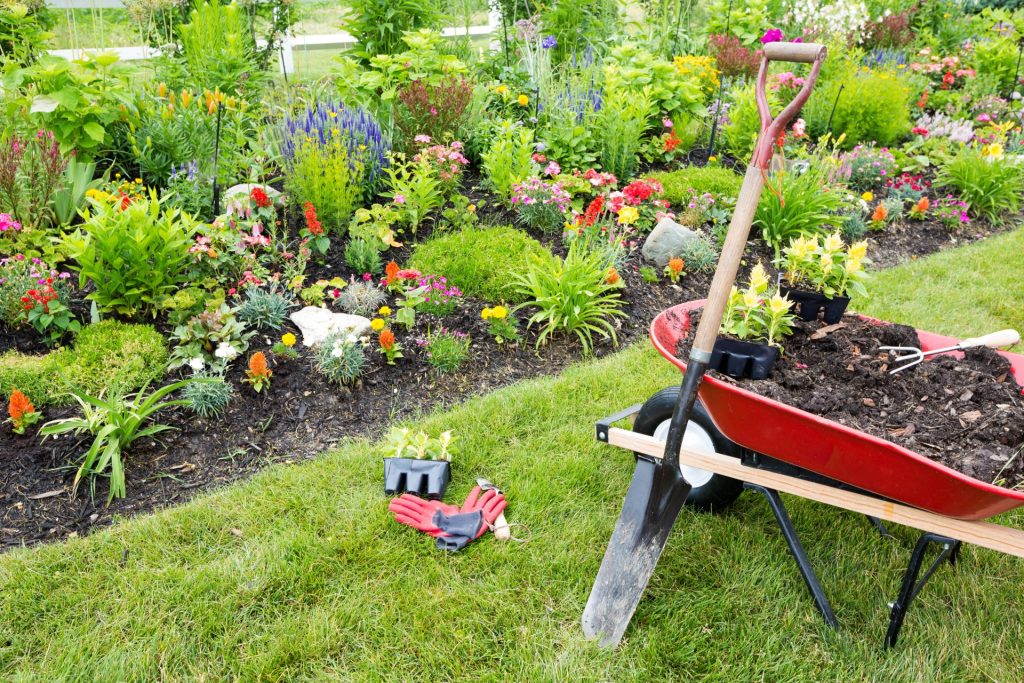 Colorful garden bed filled with blooming flowers and greenery, with a red wheelbarrow holding soil and plants in the foreground, along with garden tools and gloves on the grass.