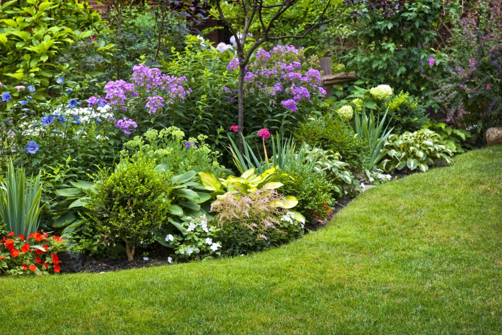 Lush landscaped garden with flowerbed and colourful plants