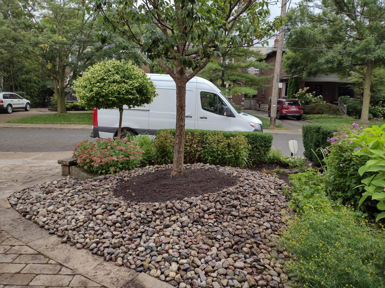 Suburban front yard with landscaping and parked van.