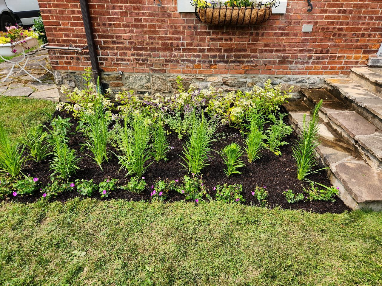 Garden bed with green plants by brick wall.