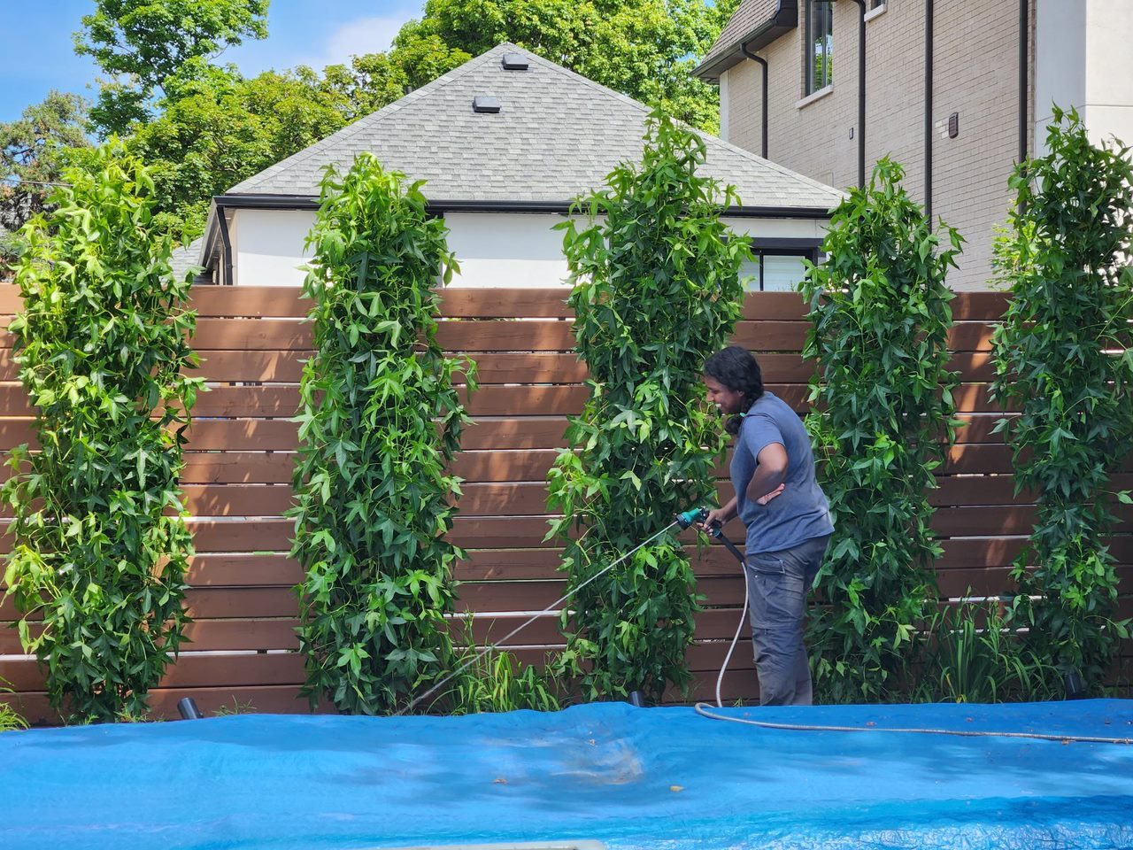 Person watering garden behind wooden fence