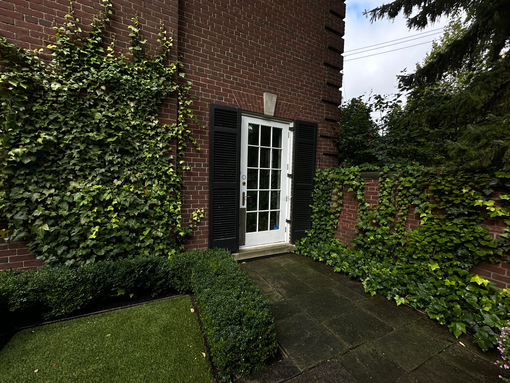 Brick wall with ivy and glass door