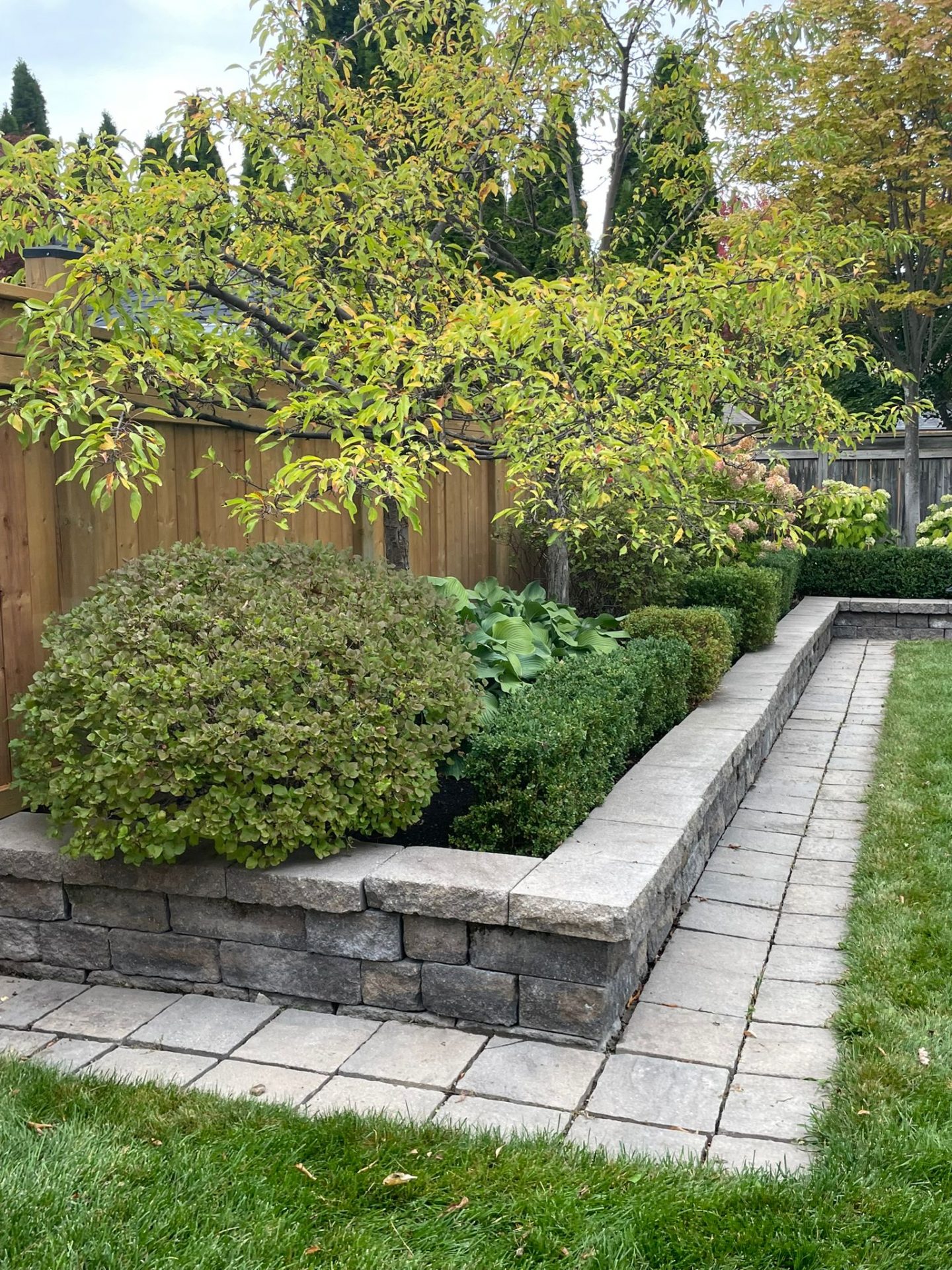 Beautiful garden with stone pathway and greenery