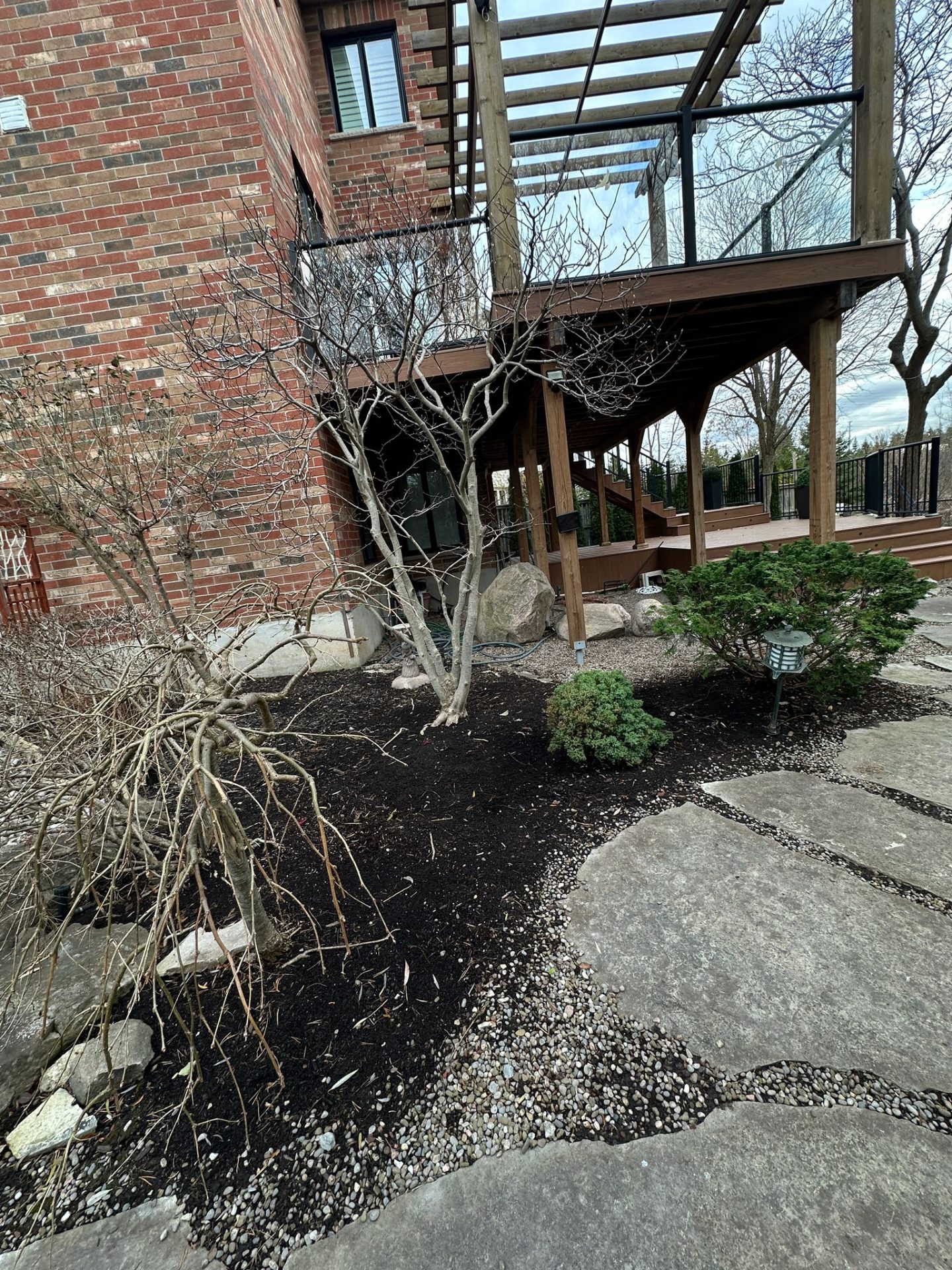 Backyard with pergola and winter trees.