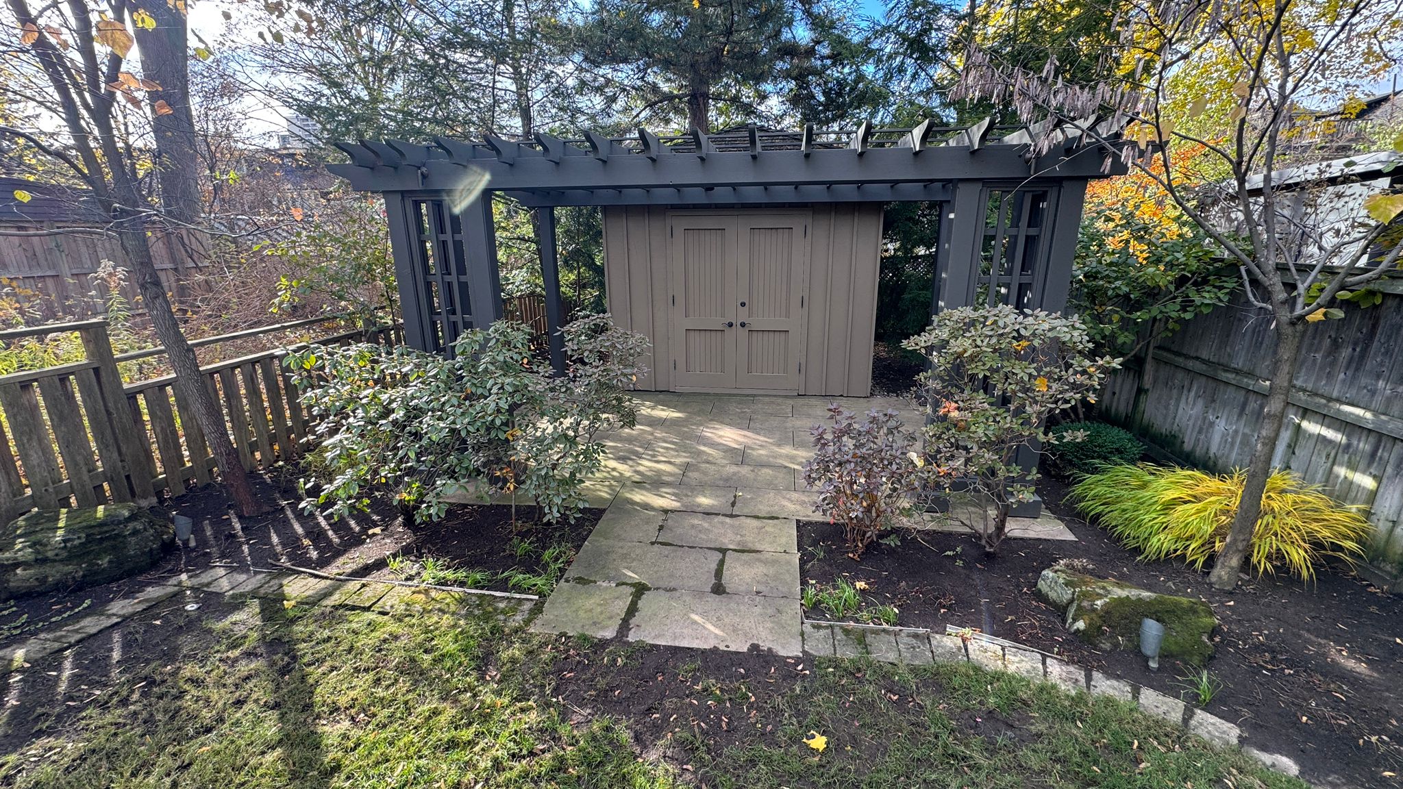 Backyard pergola with wooden shed and surrounding plants.