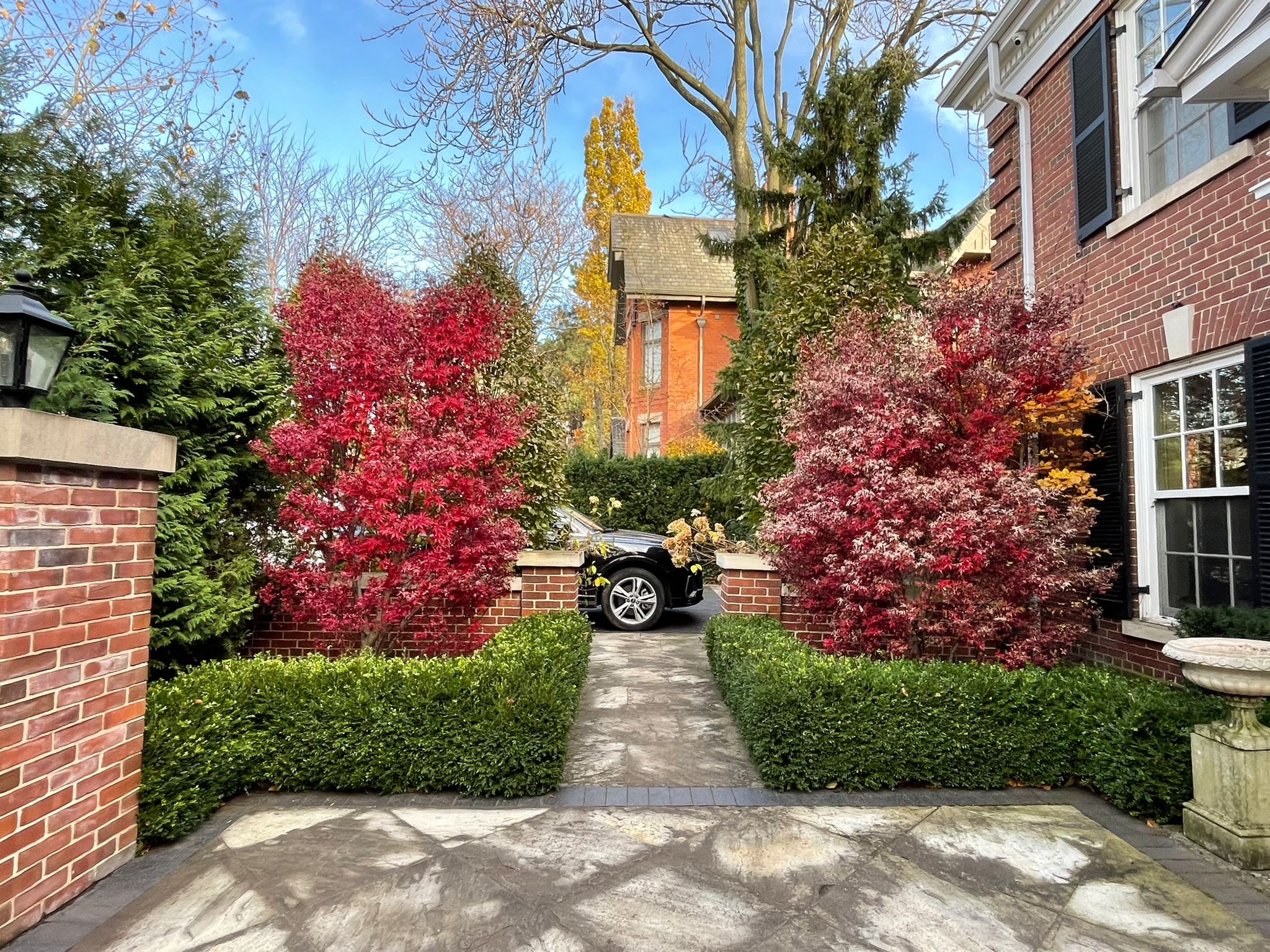 Colorful autumn trees in a residential driveway.