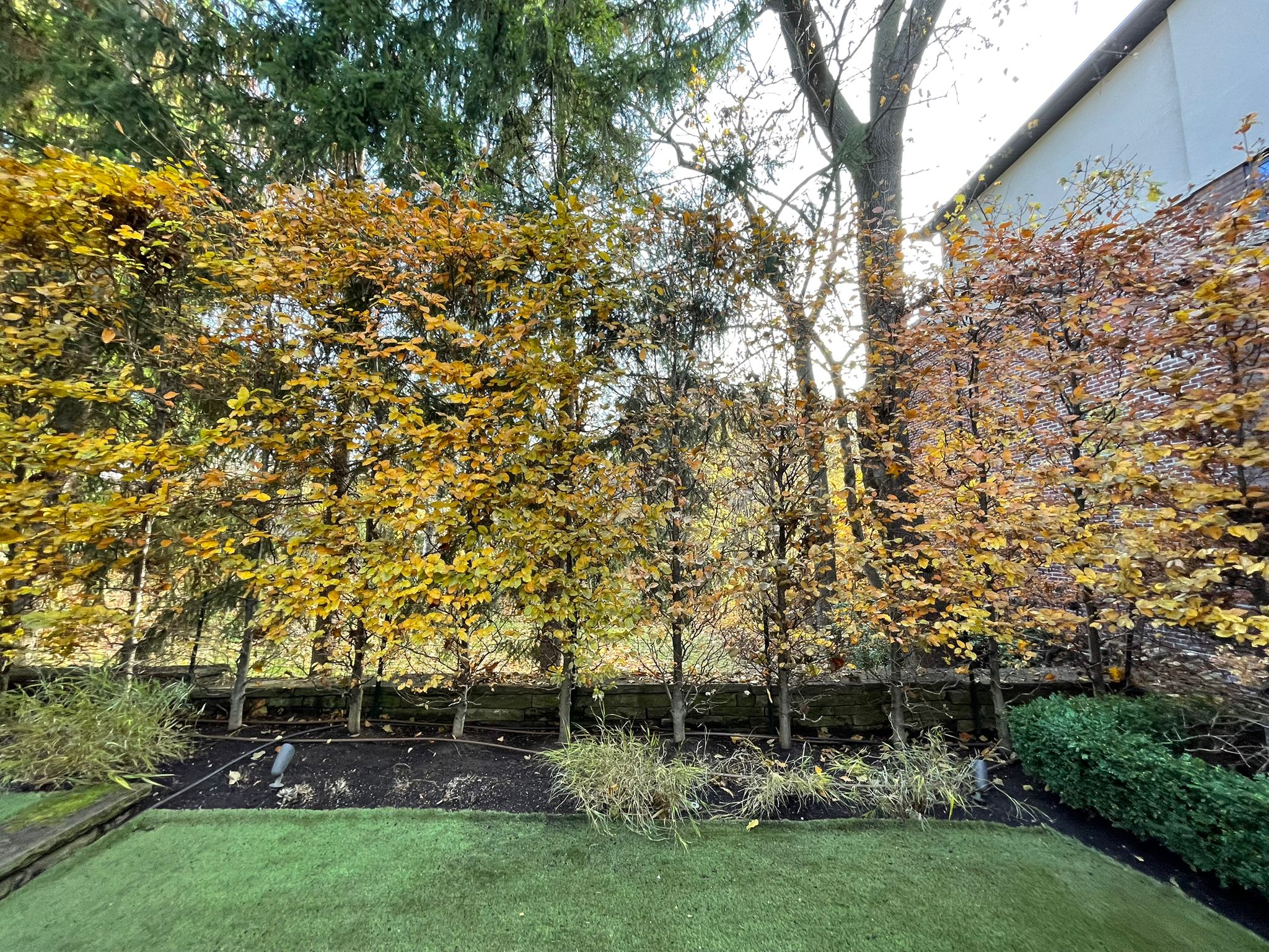 Autumn trees with yellow and orange leaves