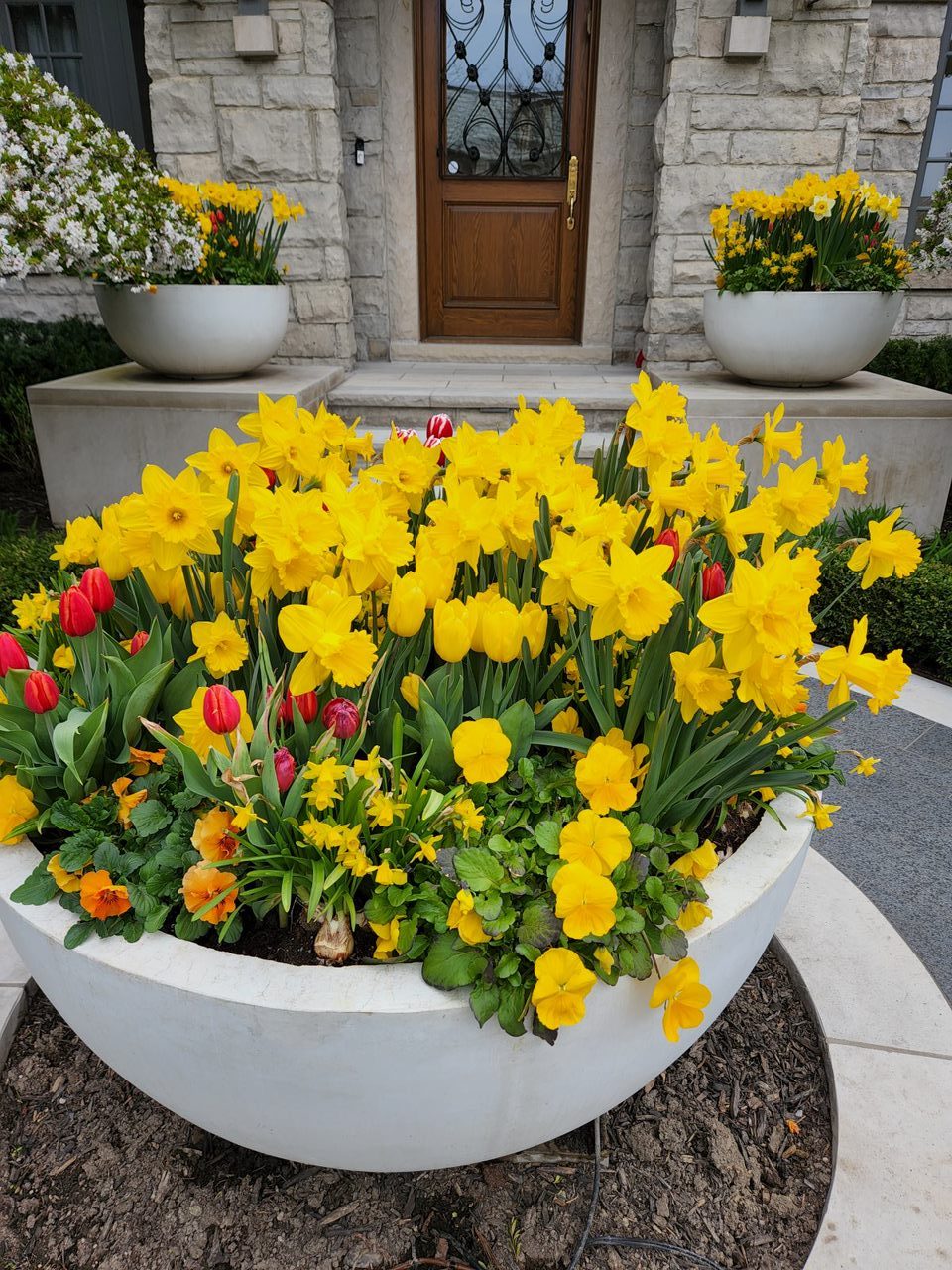 Colorful spring flowers in large white planters.
