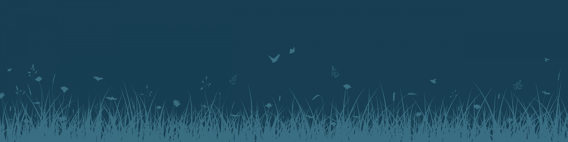 Silhouette of grass with butterflies and insects.