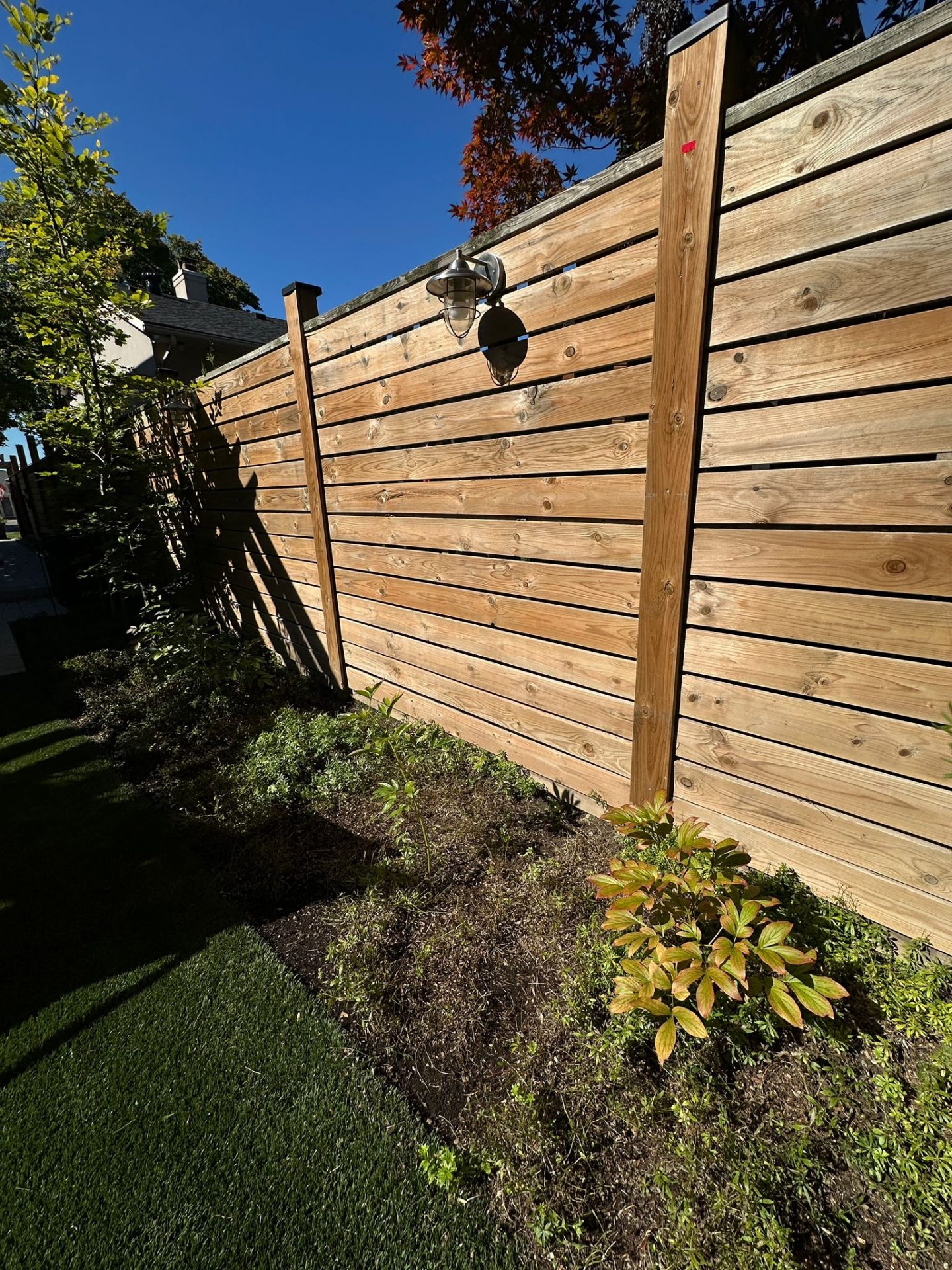 Wooden fence with garden plants under sunlight