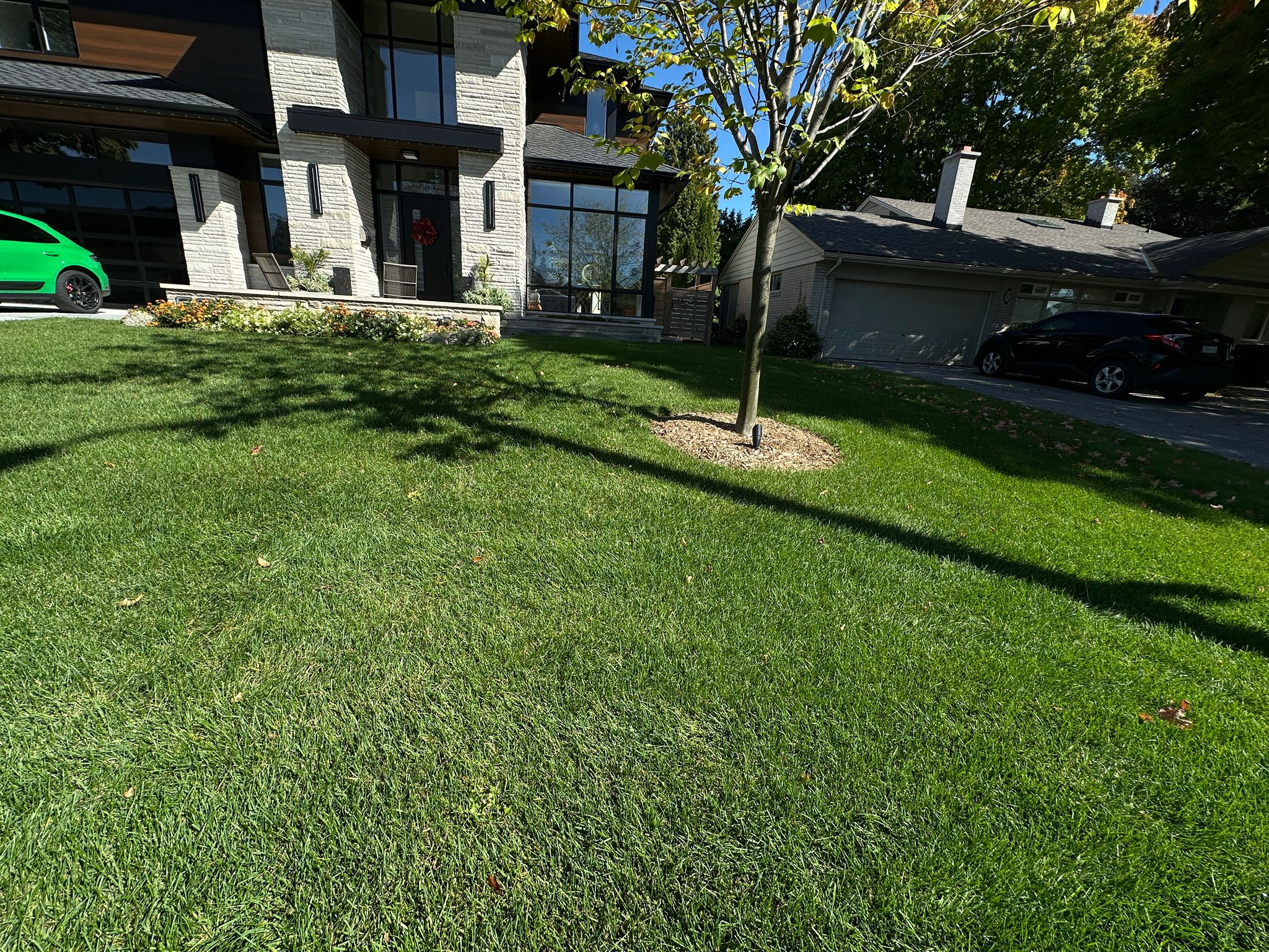 Modern house with green lawn and trees