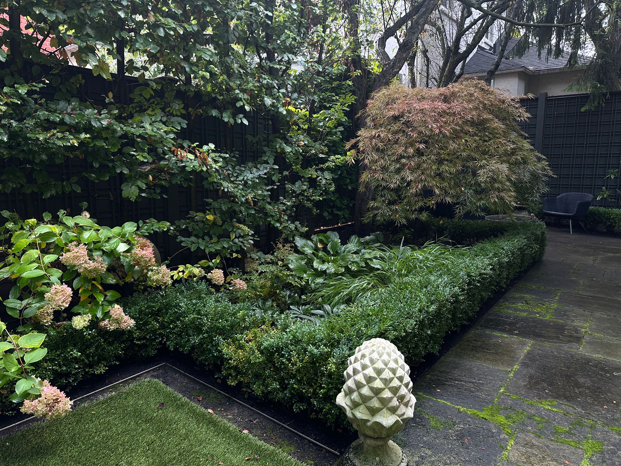 Lush garden with hedge and stone pathway.