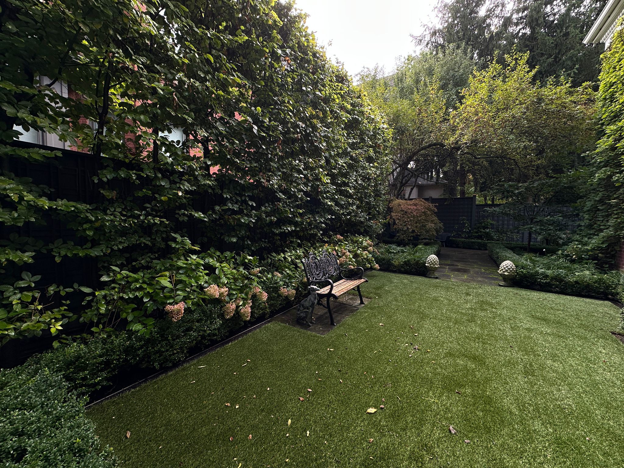 Lush garden with bench and greenery.