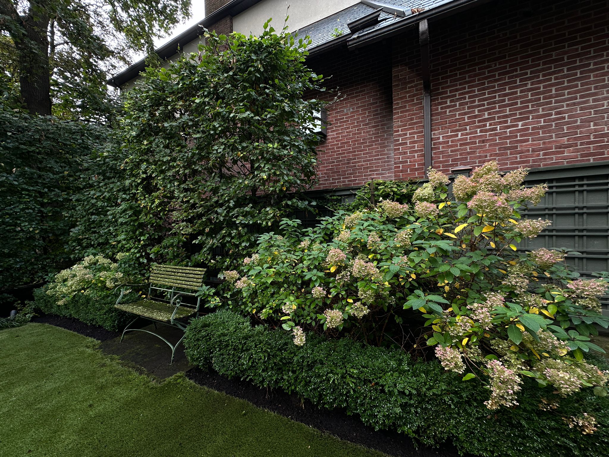 Garden bench surrounded by lush greenery and flowers.