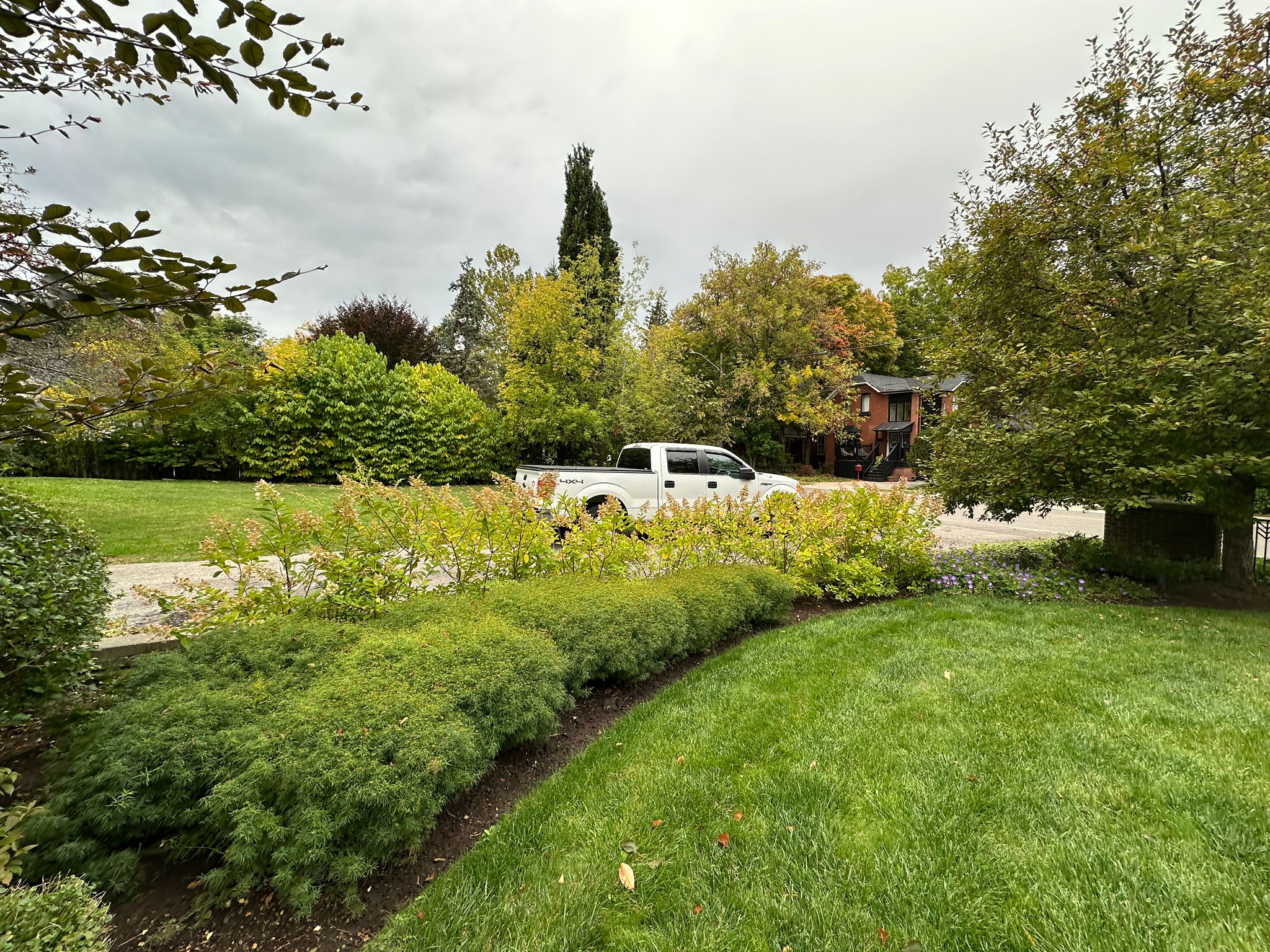 White truck parked beside lush green garden