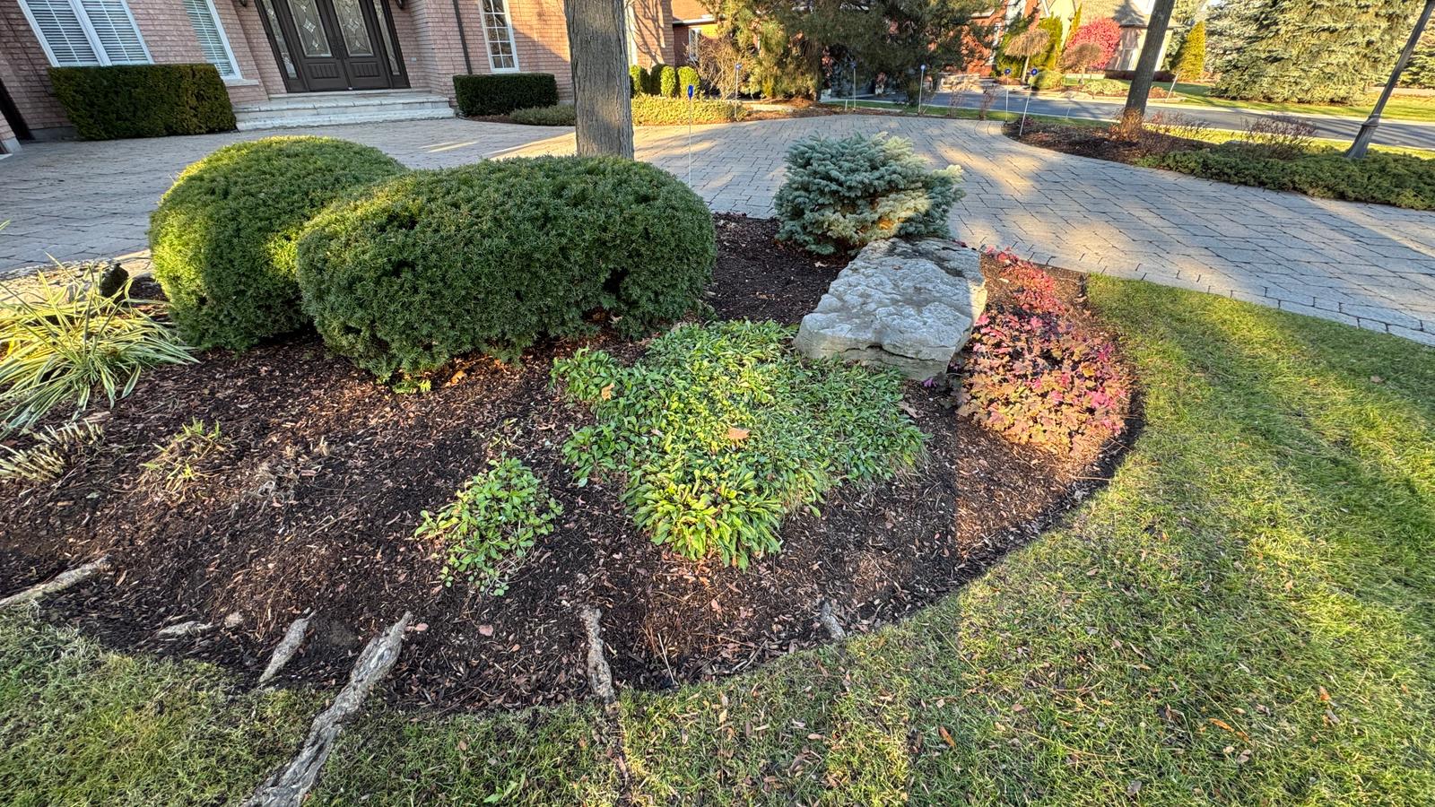 Front yard garden with shrubs and rocks