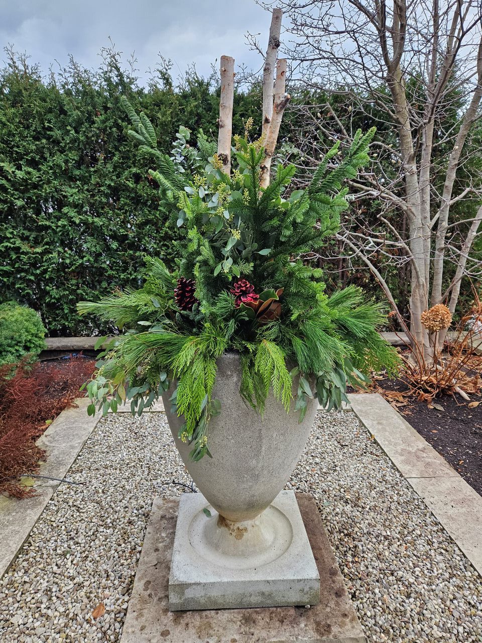 Decorative winter planter with evergreen branches and pinecones.