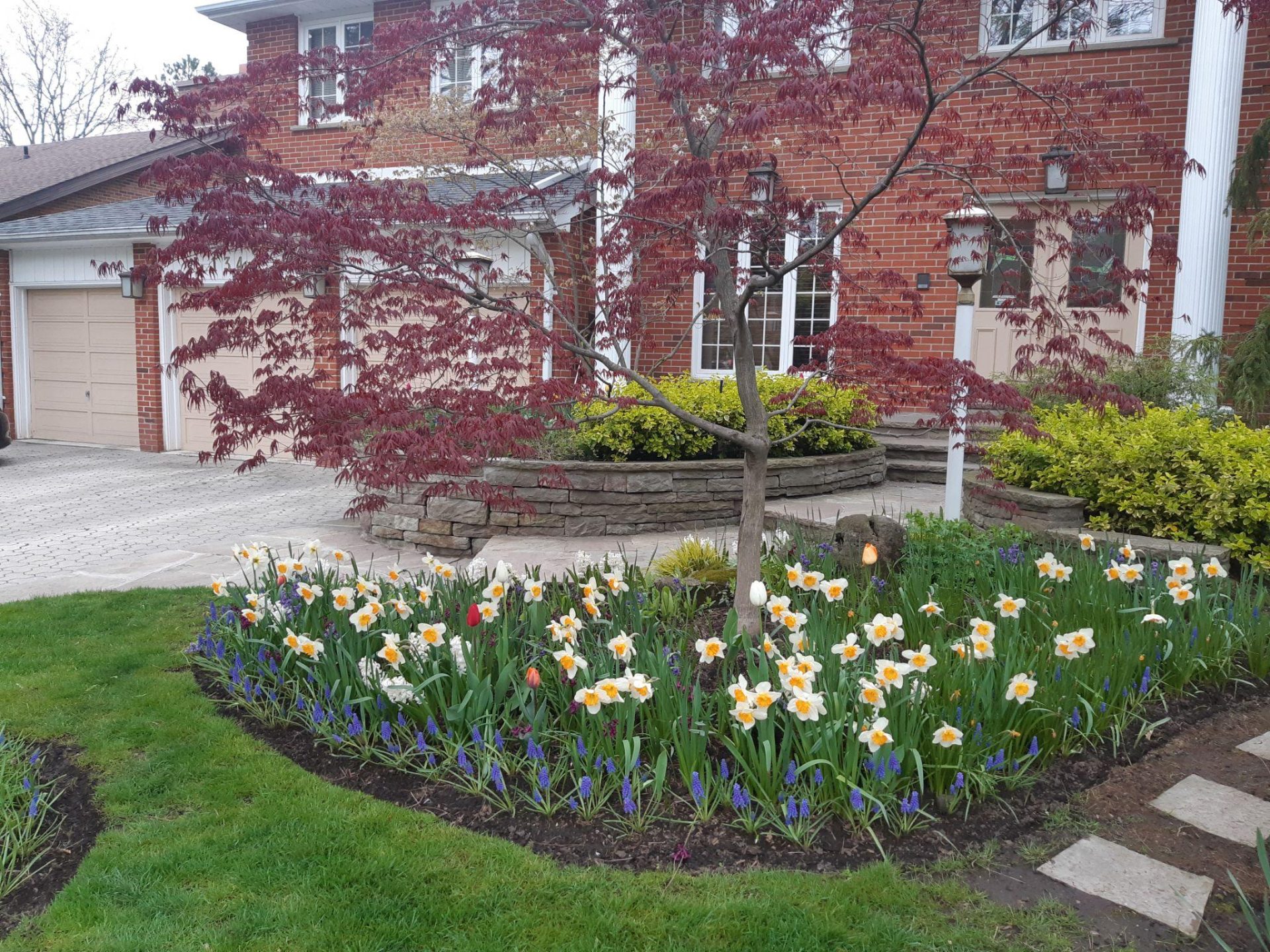 Front yard with colorful flowers and tree.