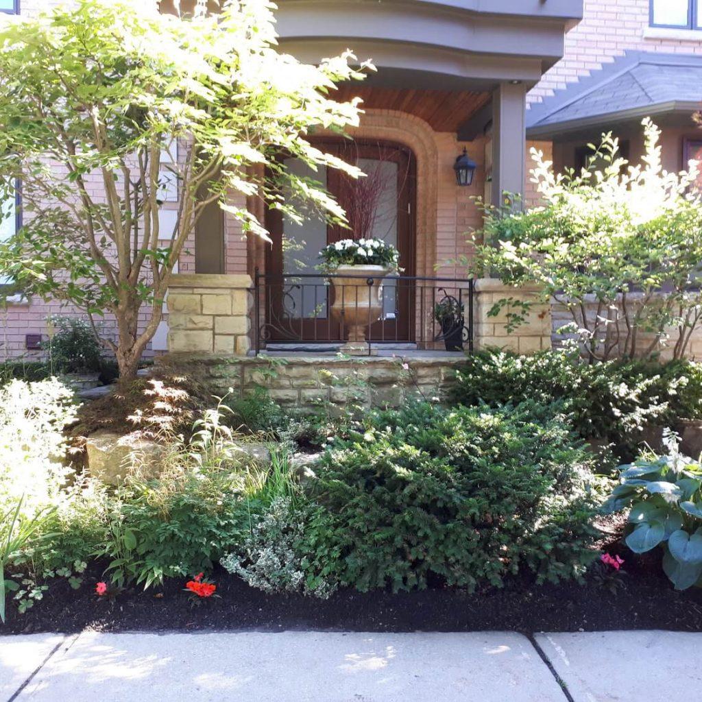 Front yard garden with plants and greenery.