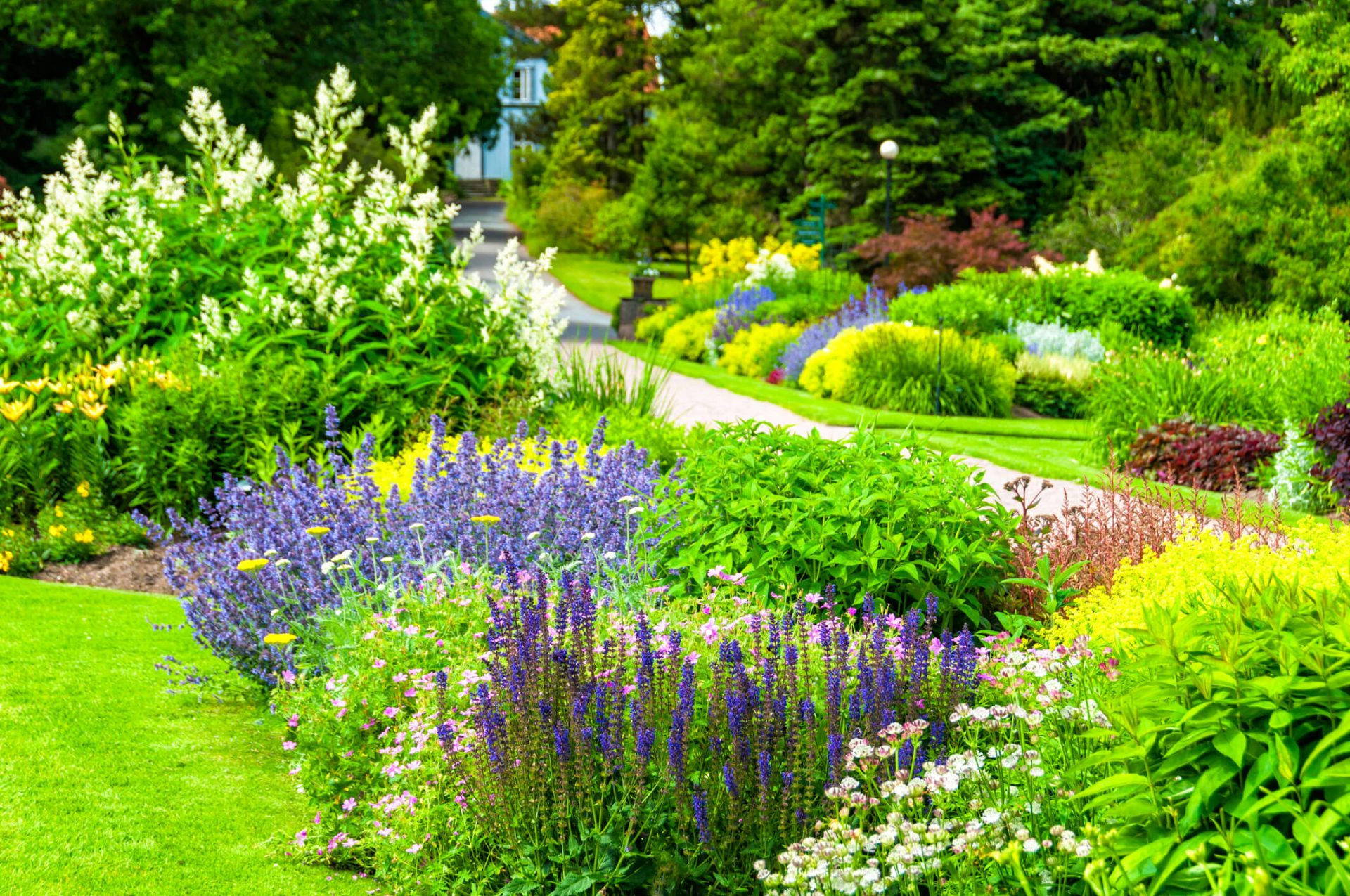 Colorful garden path with diverse flowering plants.