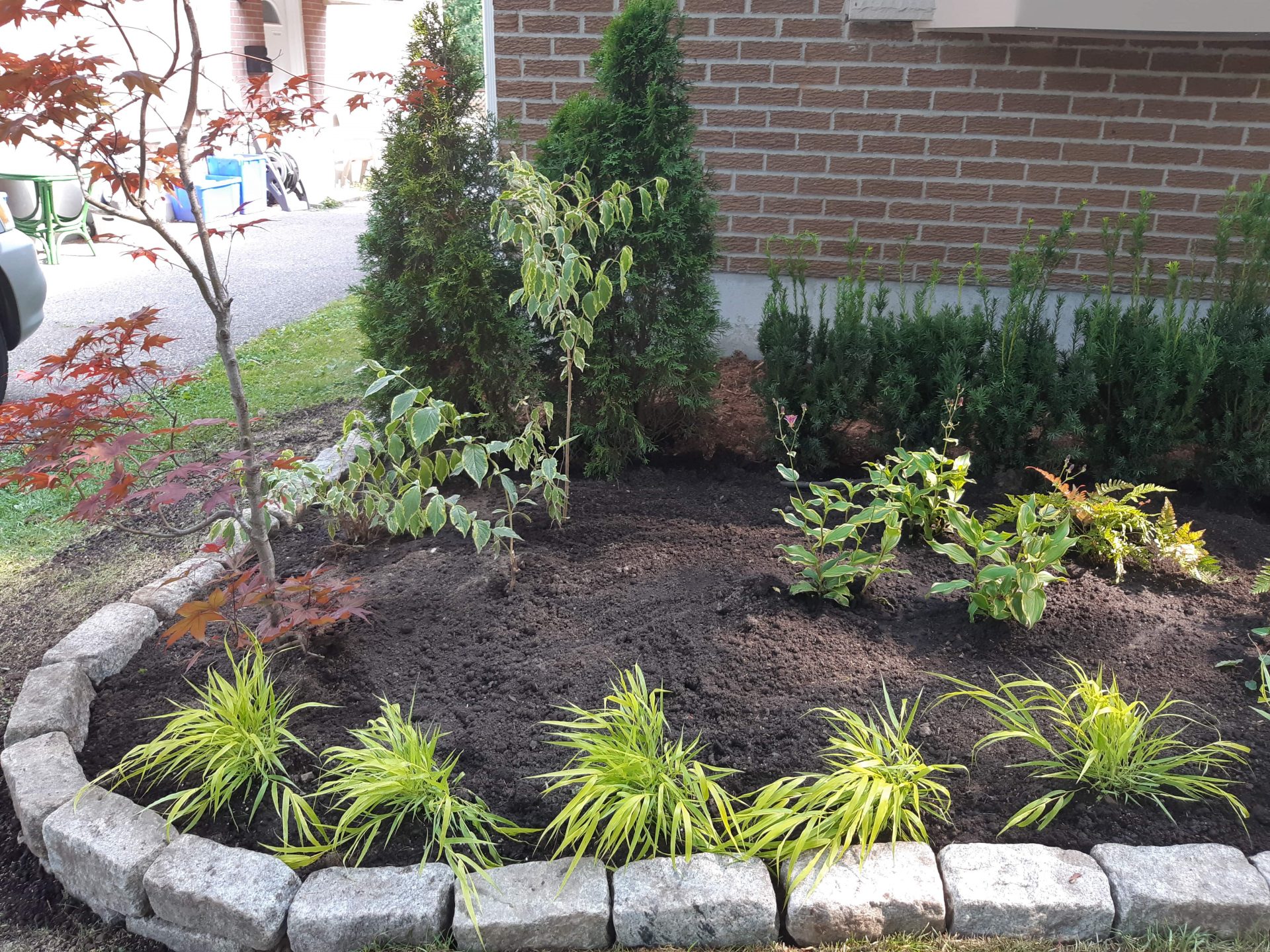 Small garden with various plants and brick edging.