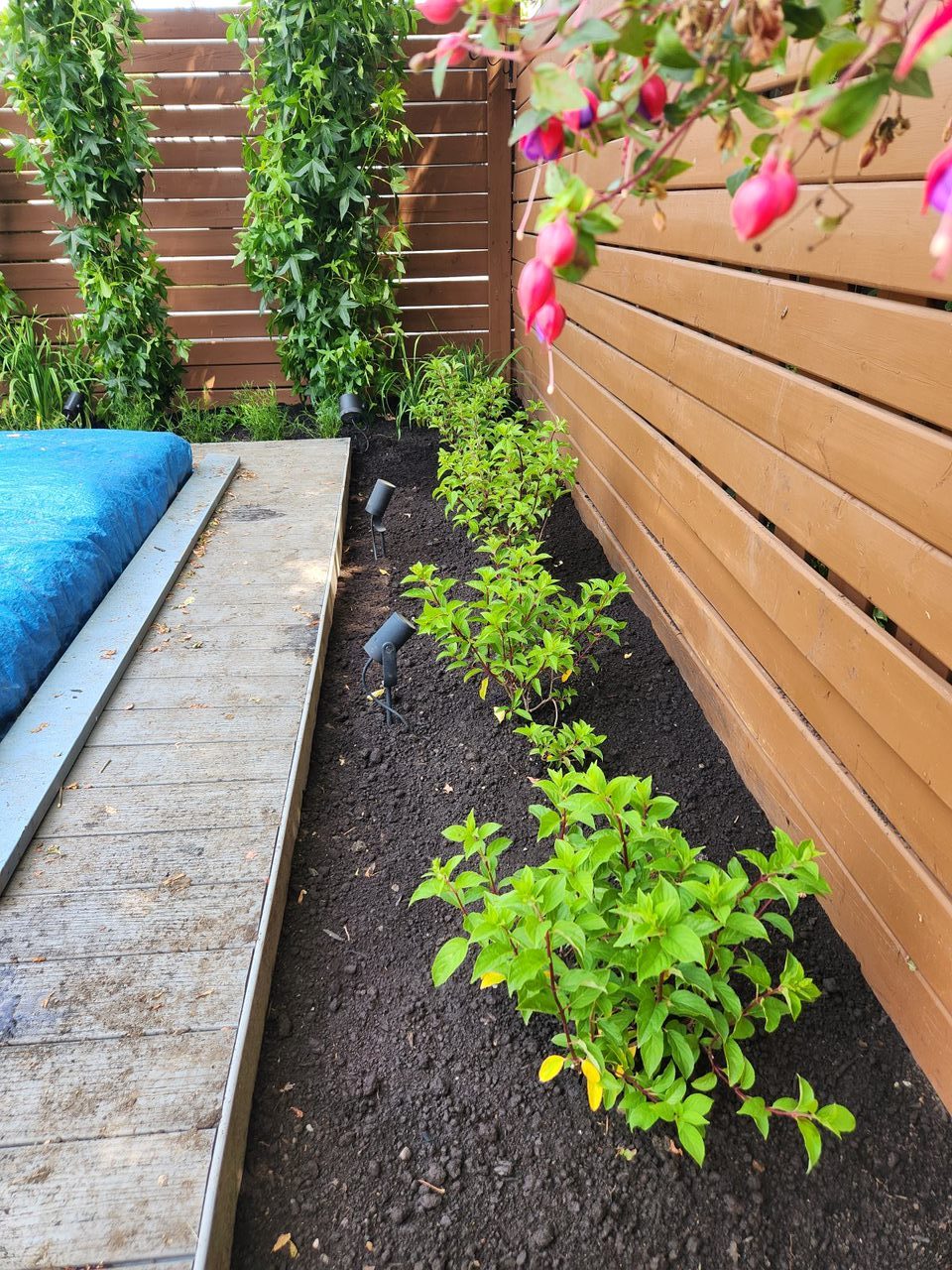 Backyard garden with plants and wooden fence.