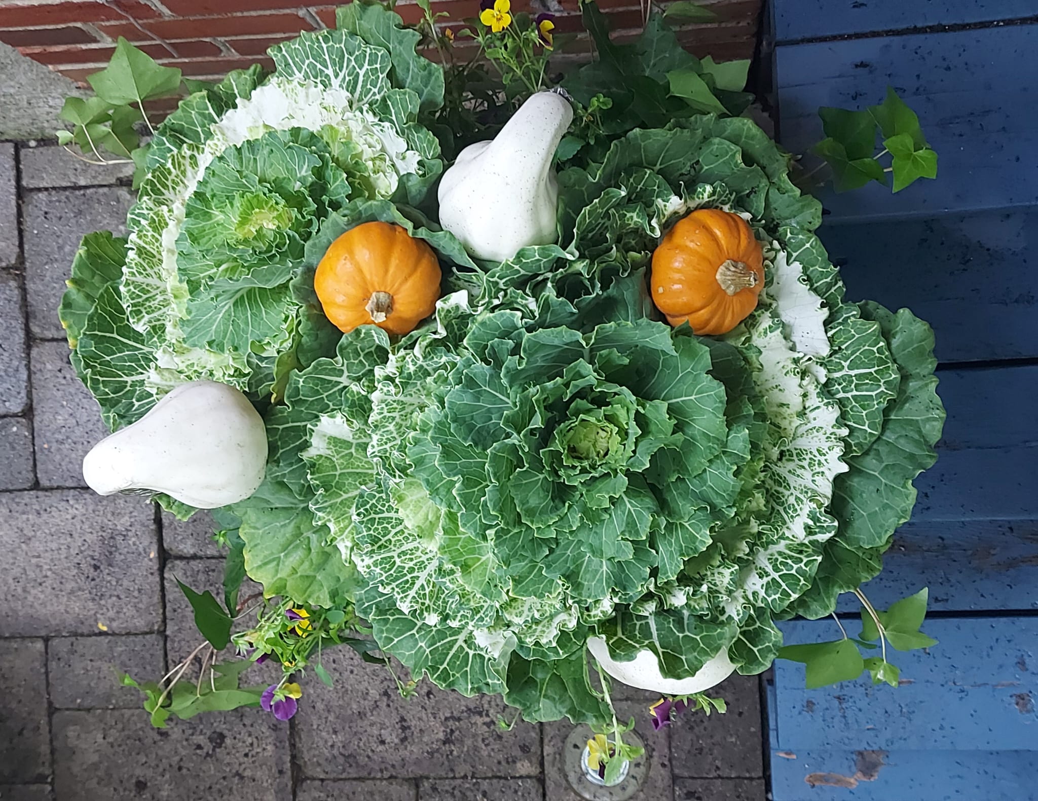 Autumn display of cabbages and small pumpkins.