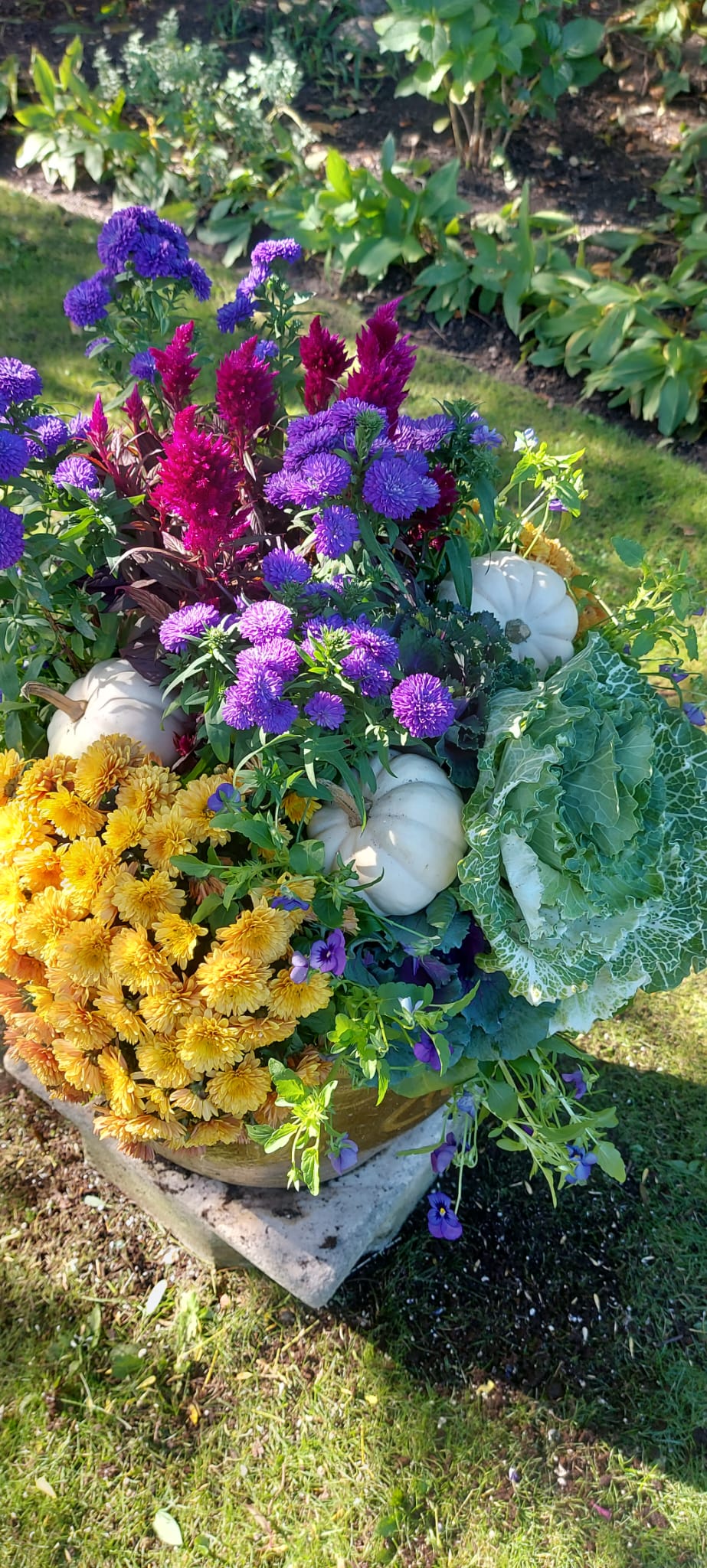 Colorful autumn flowers with pumpkins in a garden