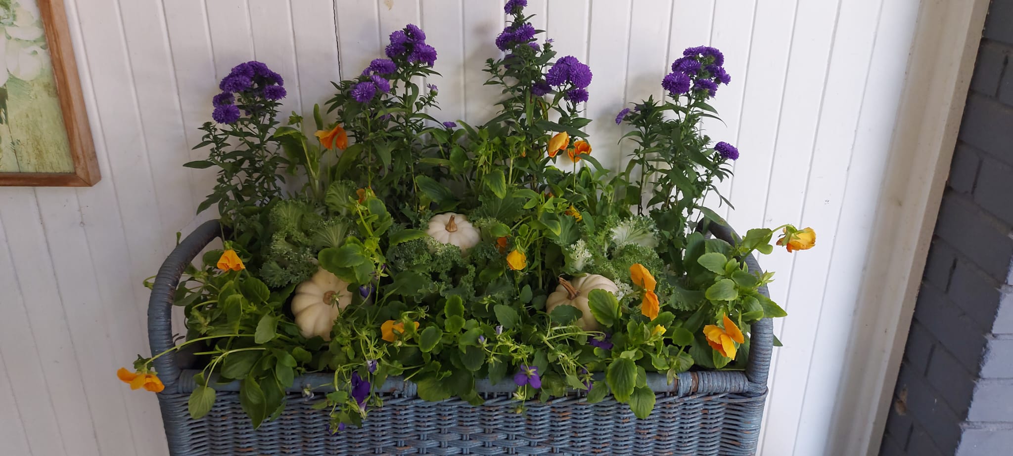 Basket with purple flowers and white pumpkins.
