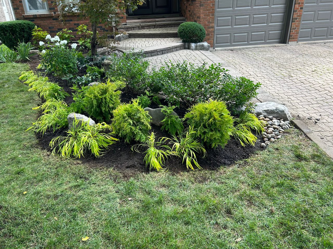 Front yard garden with bushes and decorative stones.